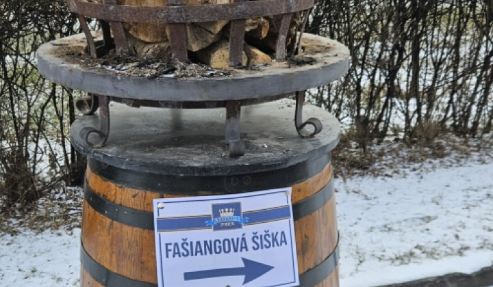 1. fotografia fotogalérie Fašiangová šiška - foto