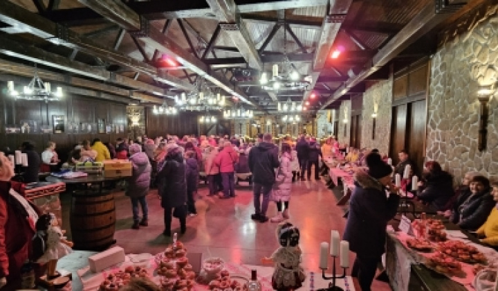 4. fotografia fotogalérie Fašiangová šiška - foto