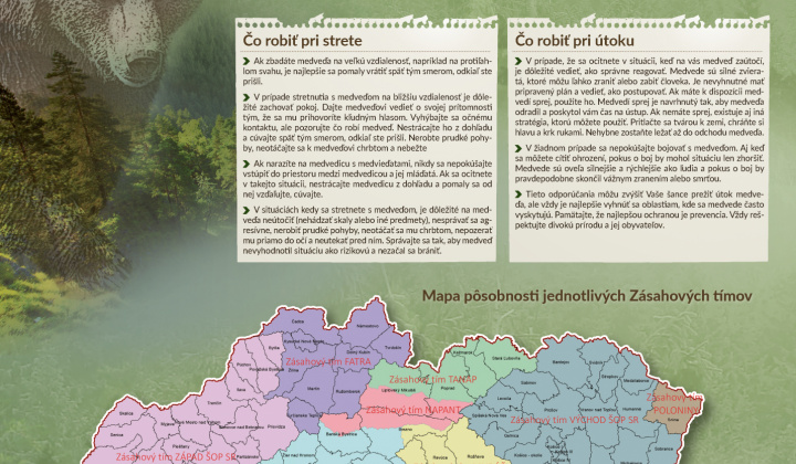 1. fotografia fotogalérie Nežiaduci výskyt medveďa hnedého - odporúčania - foto