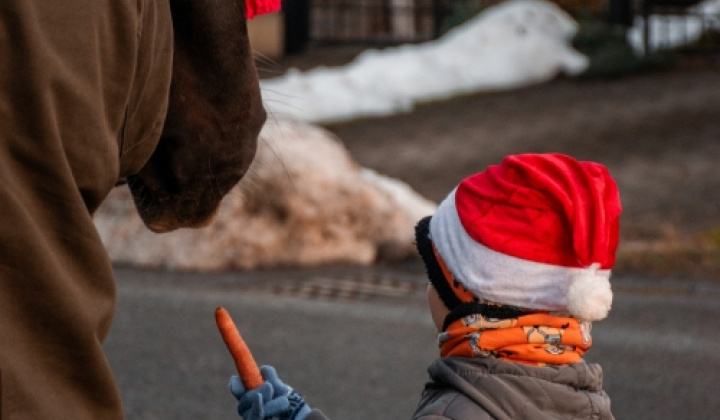 19. fotografia fotogalérie Mikuláš - foto