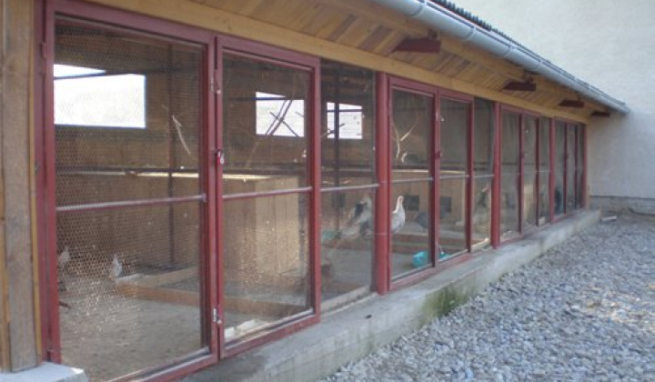 2. fotografia fotogalérie Firmy a spoločnosti / Roľnícke družstvo v Plavnici - foto