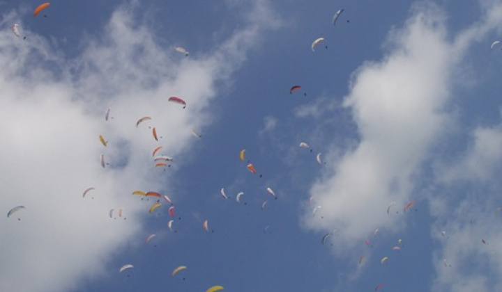 7. fotografia fotogalérie Firmy a spoločnosti / EXTREME Jobs - foto