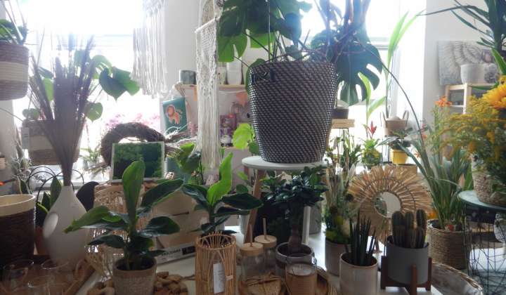 2. fotografia fotogalérie Firmy a spoločnosti / Kvetinárstvo KVET - Plavnica - foto