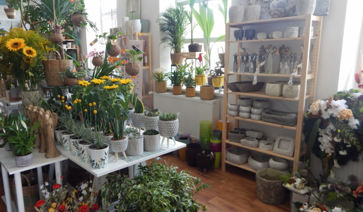 6. fotografia fotogalérie Firmy a spoločnosti / Kvetinárstvo KVET - Plavnica - foto