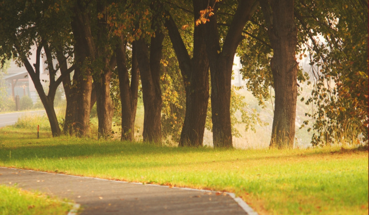 3. fotografia fotogalérie Projekty / Regenerácia obce Plavnica - foto