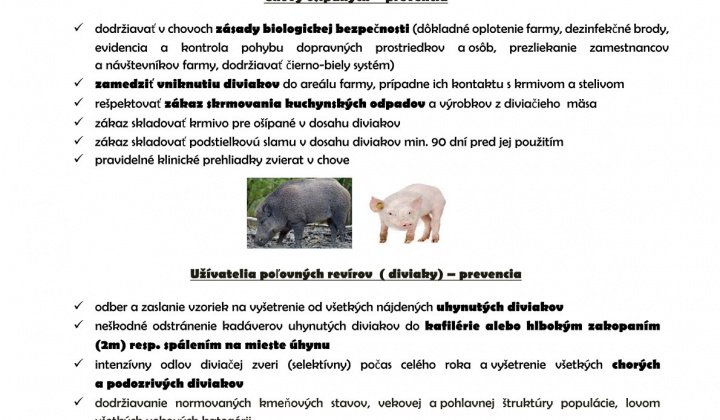 1. fotografia fotogalérie Aktuality / Africký mor ošípaných - foto
