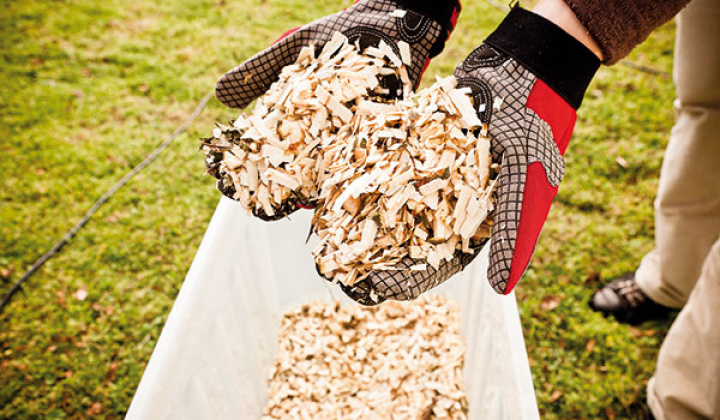 Fotka - Obec ponúka štiepku 