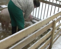 200901121024170.snapshot20090102165153