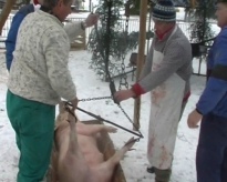 200901121024330.snapshot20090102170057