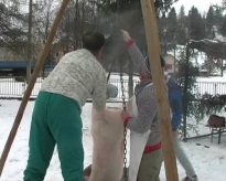 200901121024460.snapshot20090102170148