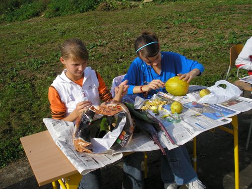 200912110917390.pa080840