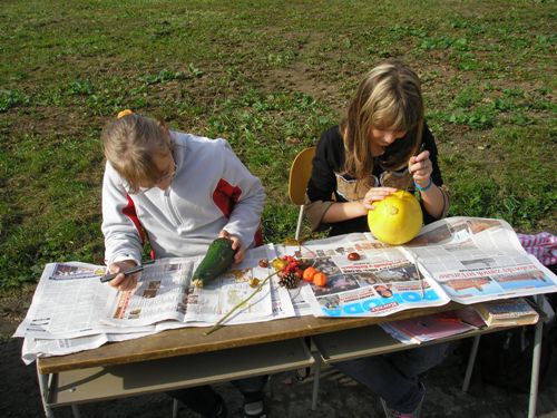 200912110917490.pa080841