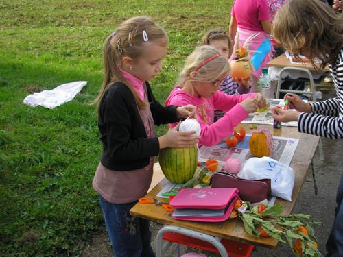 200912110917580.pa080842