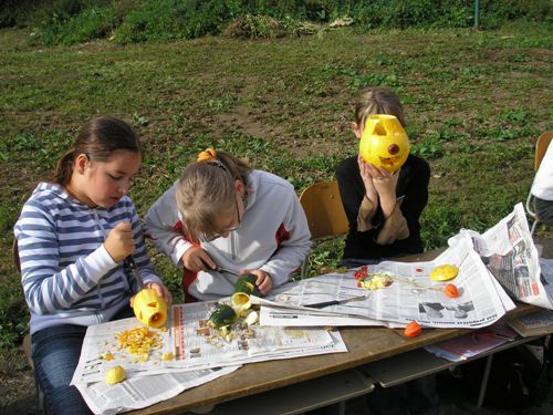 200912110918410.pa080848