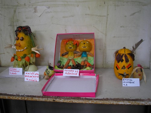 200912110919040.pa080852