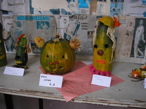 200912110919150.pa080853