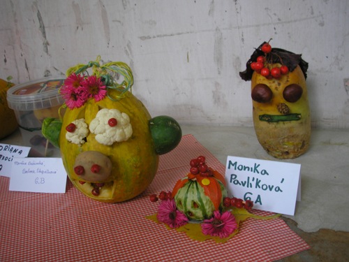 200912110919250.pa080854