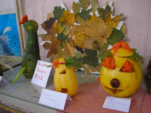 200912110919380.pa080855