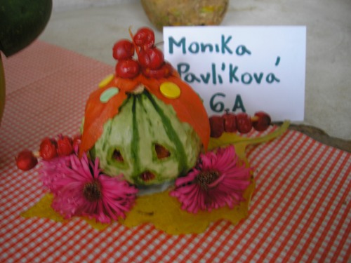 200912110920450.pa080860