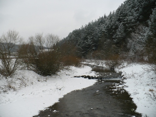 200912141052210.p1060692