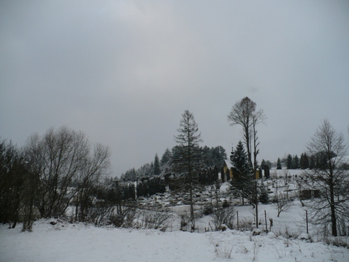 200912141052560.p1060696