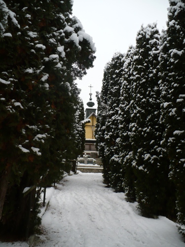 200912141053070.p1060697