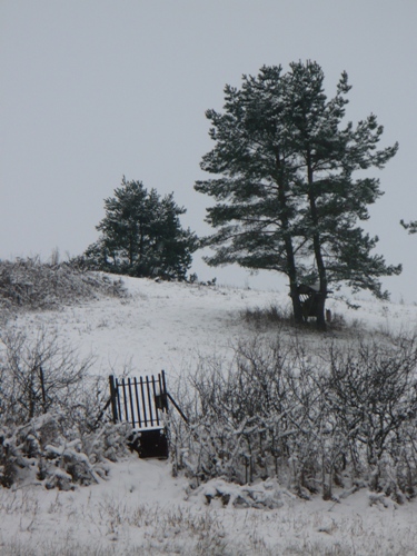 200912141053530.p1060704