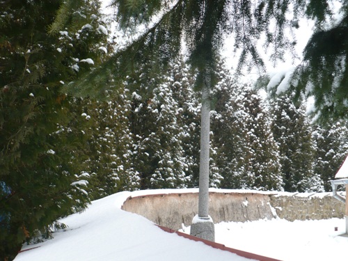 200912141055150.p1060724