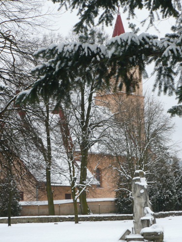 200912141055560.p1060734