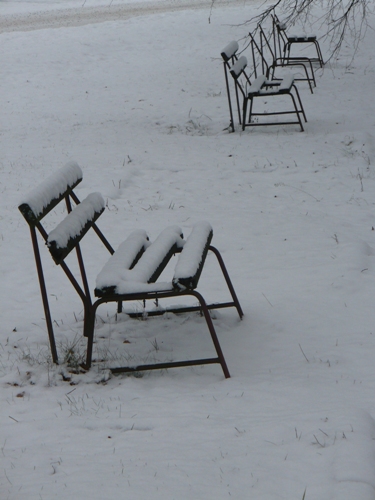 200912141057060.p1060740