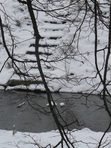 200912141057210.p1060741