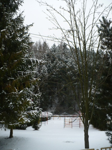 200912141057540.p1060748