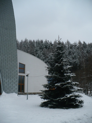 200912141058100.p1060753