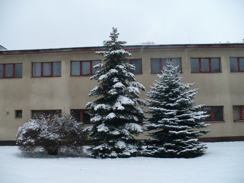 200912141058460.p1060758