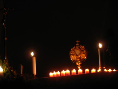 200912211826140.plavnica_470