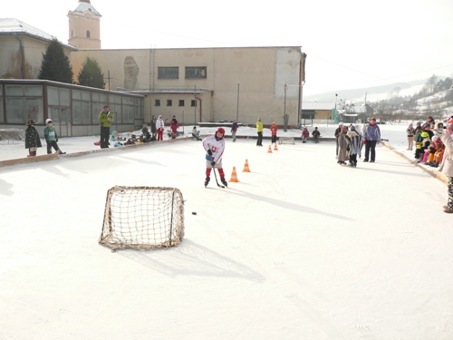 201002020821080.p1020390