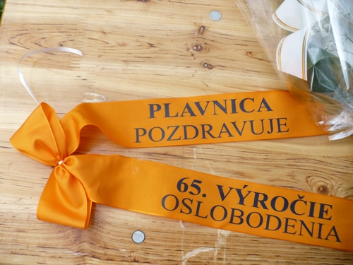 201005141038280.p1070748