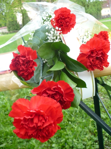 201005141038520.p1070751