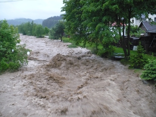 201006111153290.p1080081