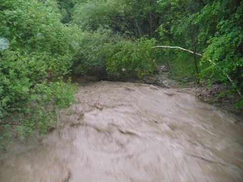 201006111153570.p1080083