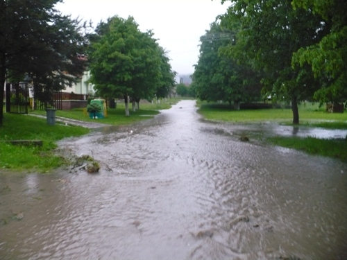 201006111154220.p1080086