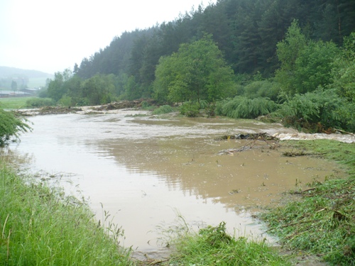 201006111156450.p1080100