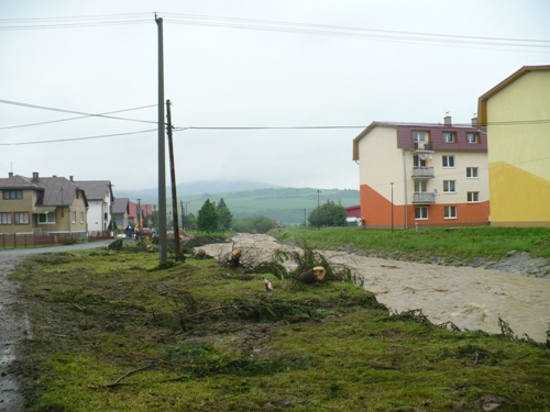 201006111159240.p1080111