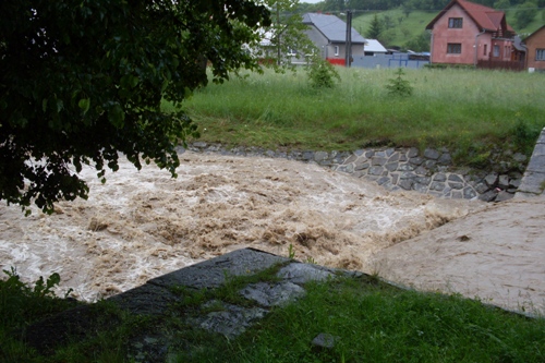 201006111203420.sdc10679