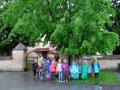 201007141637560.sam_0199