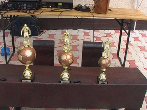 201009041236350.imga0133