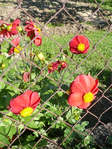 201010131407100.p1090408