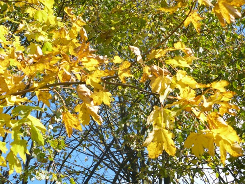 201010131407340.p1090411