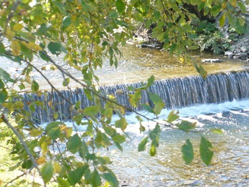 201010131407460.p1090412