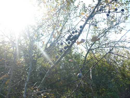 201010131407590.p1090418